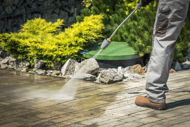 Best Animal Enclosure Cleaning  in Euless, TX